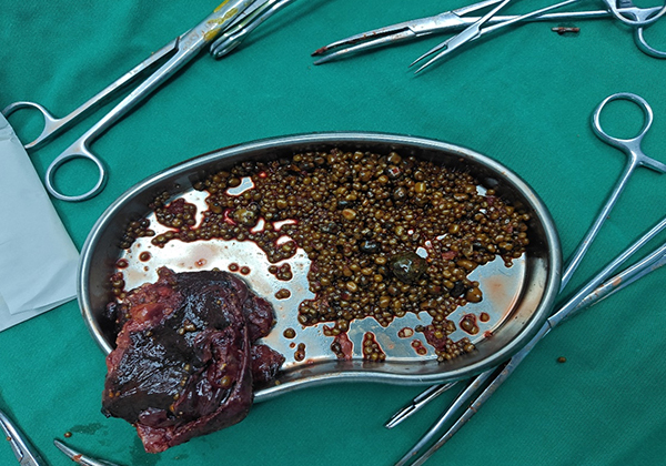 1759281739246176.jpg 未标题-4.jpg