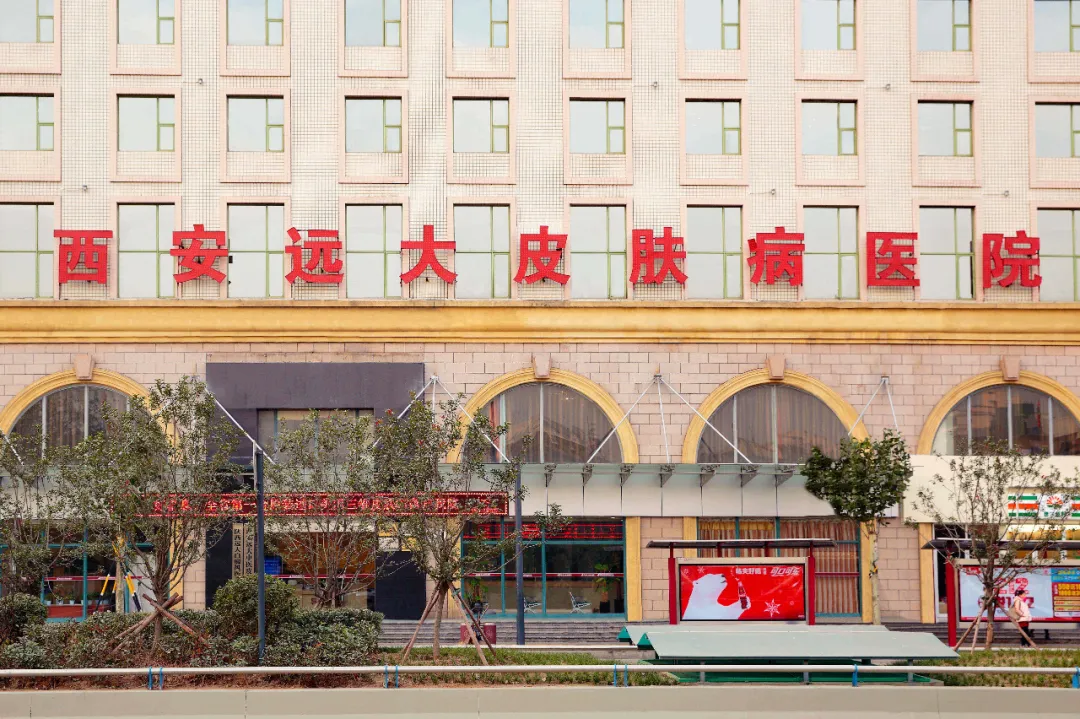 1761629804763255.jpg 6231.jpg