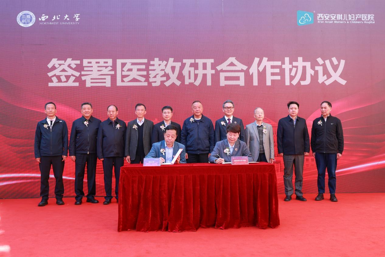 1762999471312575.jpg 2.jpg