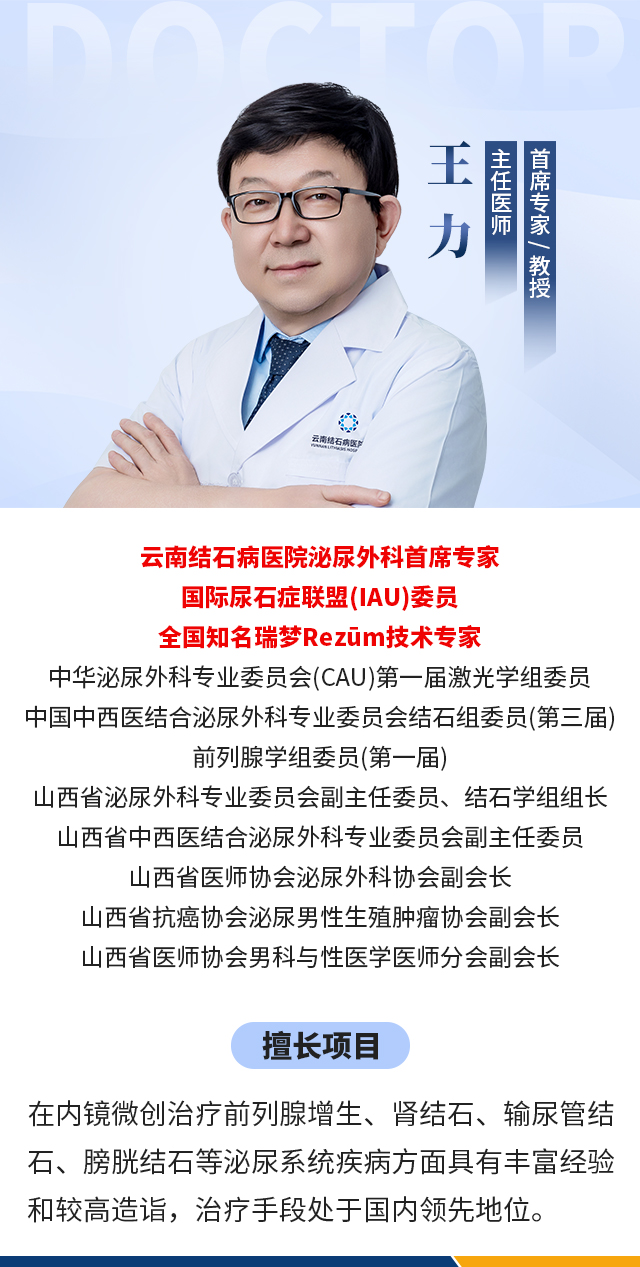 1764235054424436.jpg 王力2.jpg