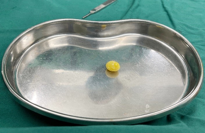 1764914919448431.jpg 23.jpg