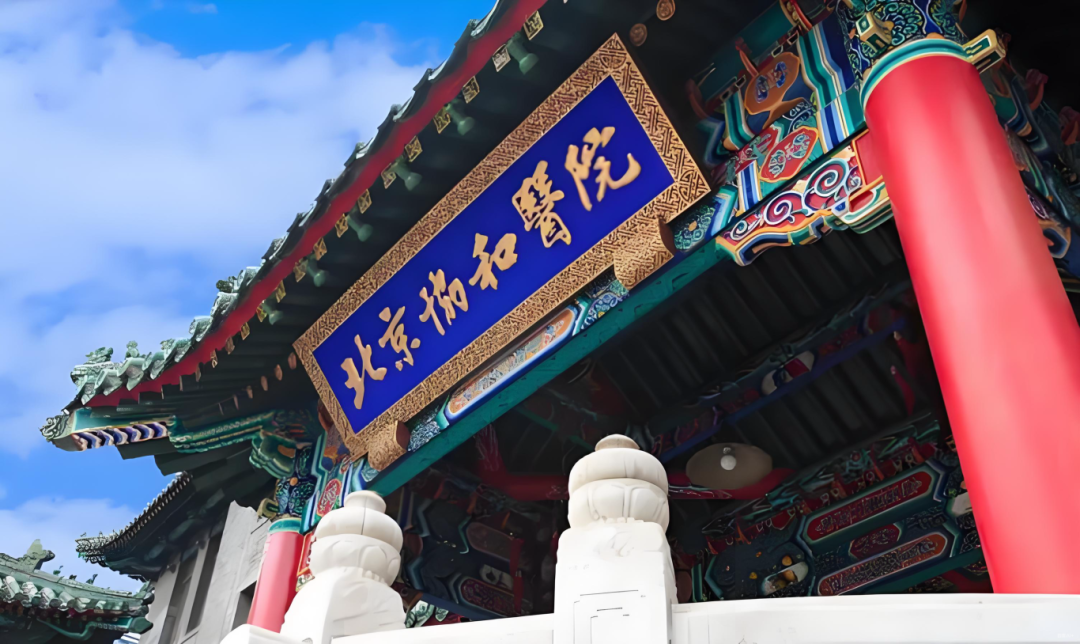 1765330115997498.png 2.png