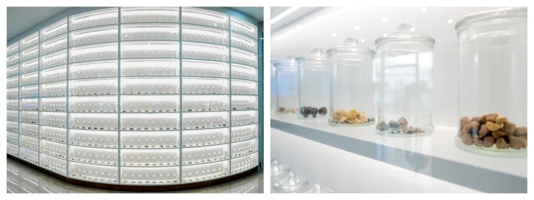 1765330196575747.jpg 结石博物馆.jpg