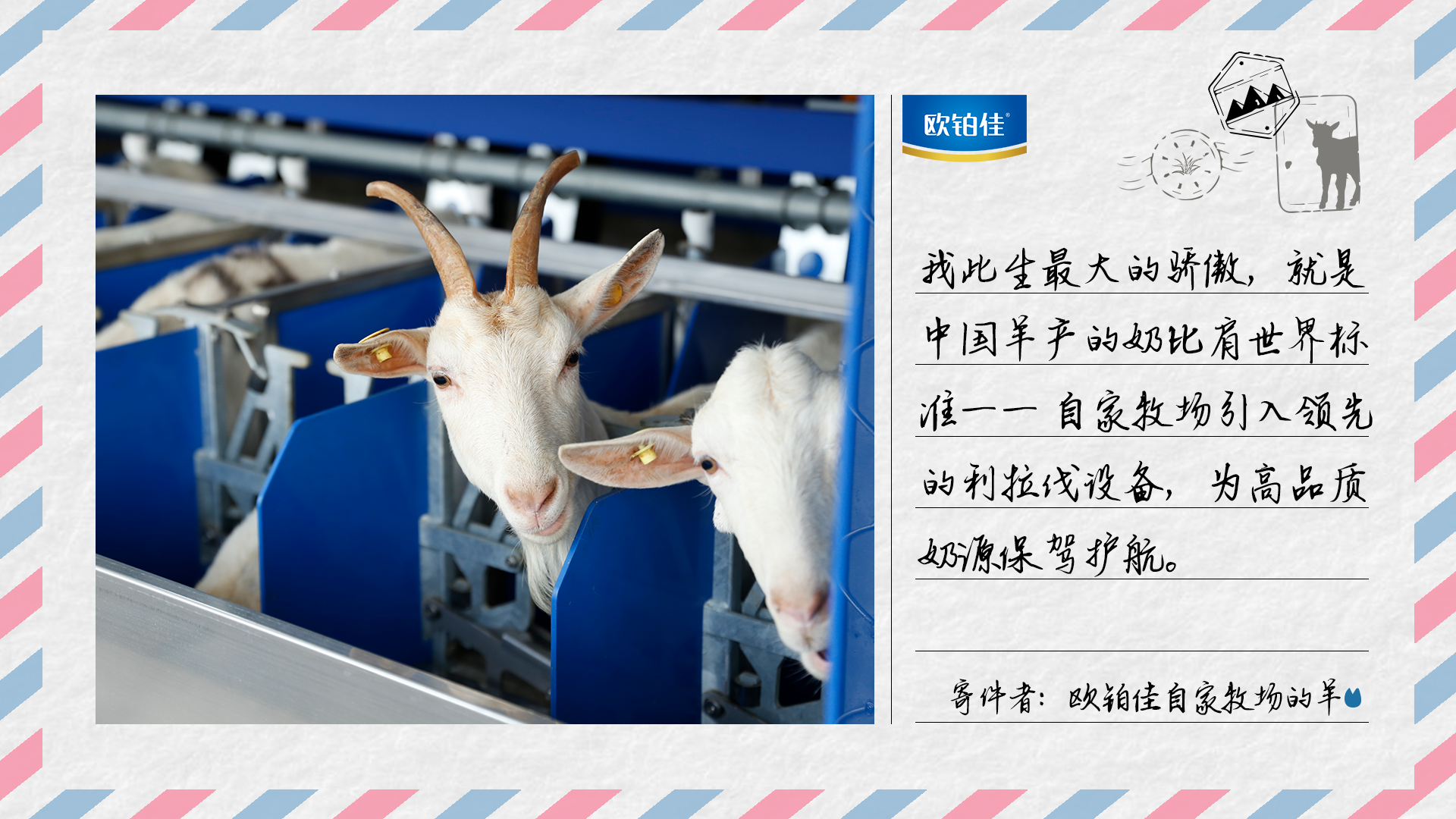 山野寻奇——羊奶果 - 中国自然保护区生物标本资源共享平台