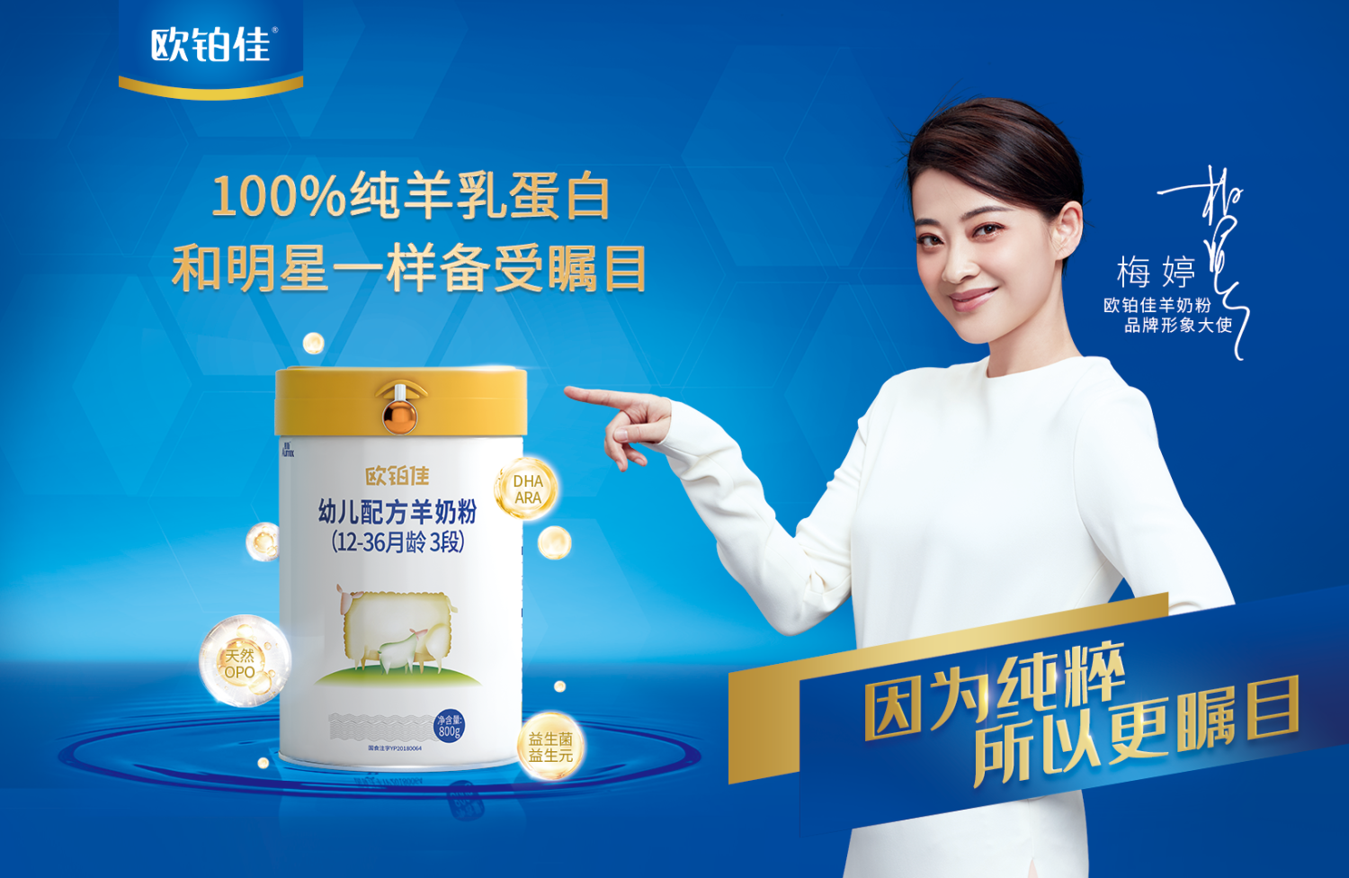 纯羊时代开启,欧铂佳打造多维营养