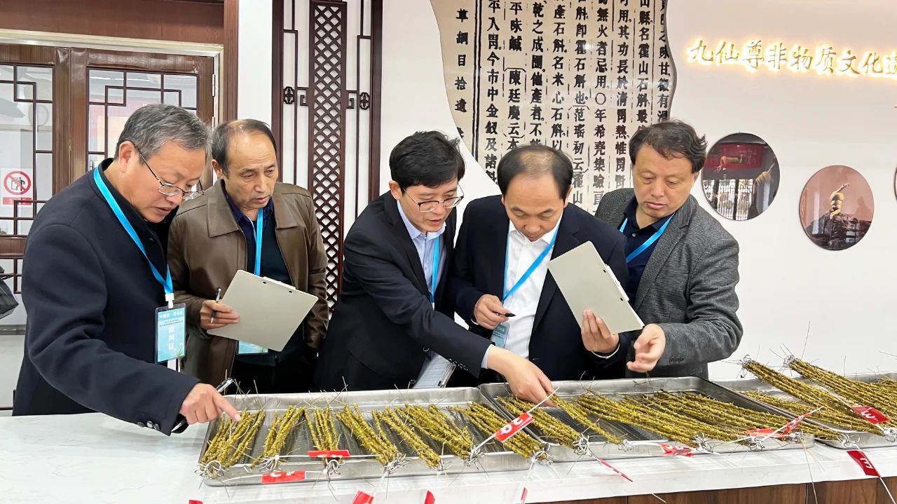 六安市首届霍山石斛非遗炮制技艺劳动技能竞赛在九仙尊成功举办